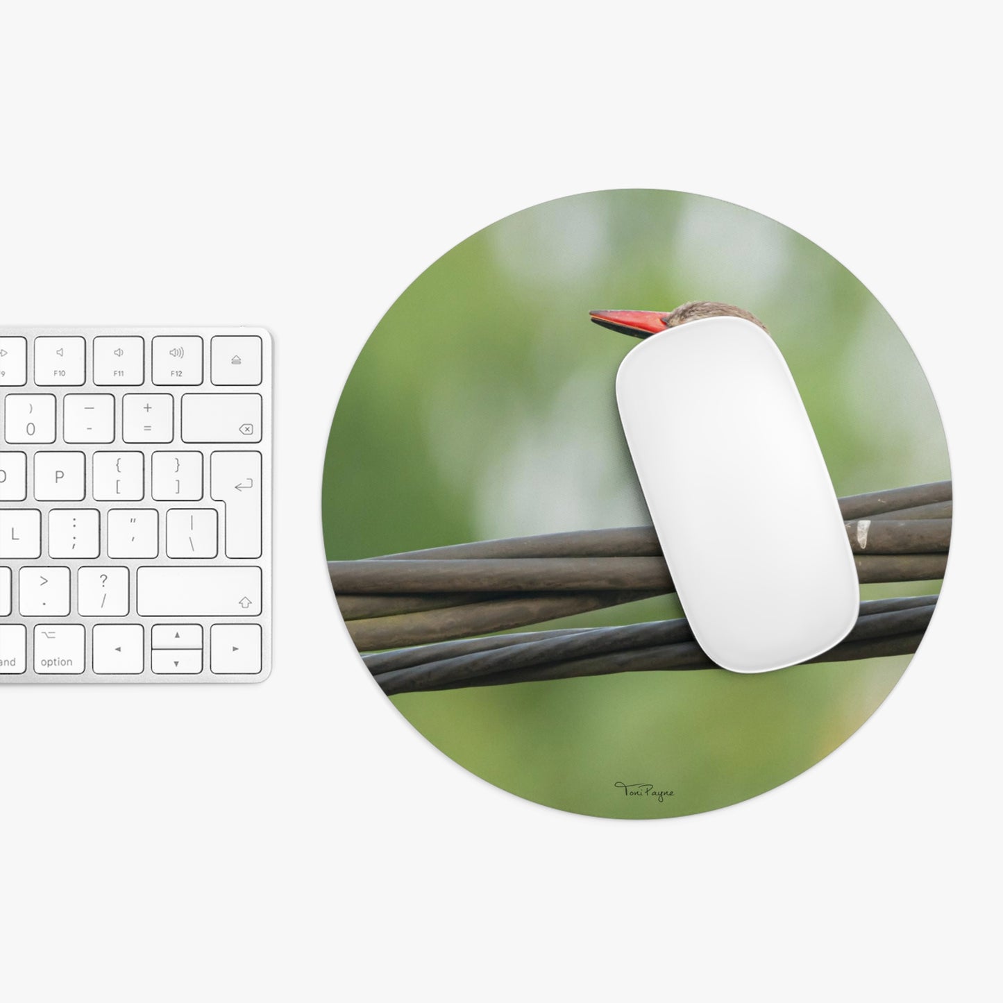 Nature Lover Kingfisher Round or Rectangle Mouse Pad