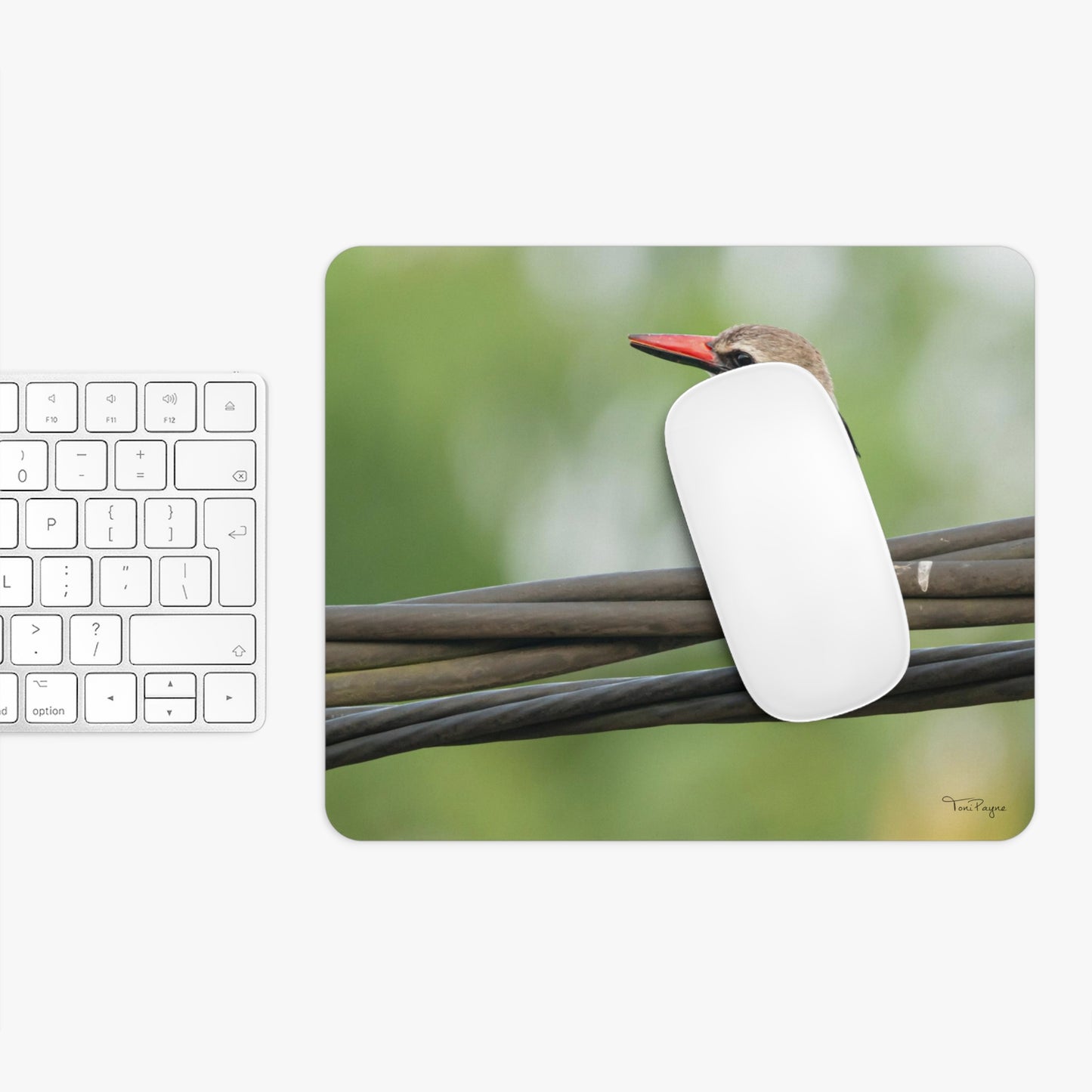 Nature Lover Kingfisher Round or Rectangle Mouse Pad