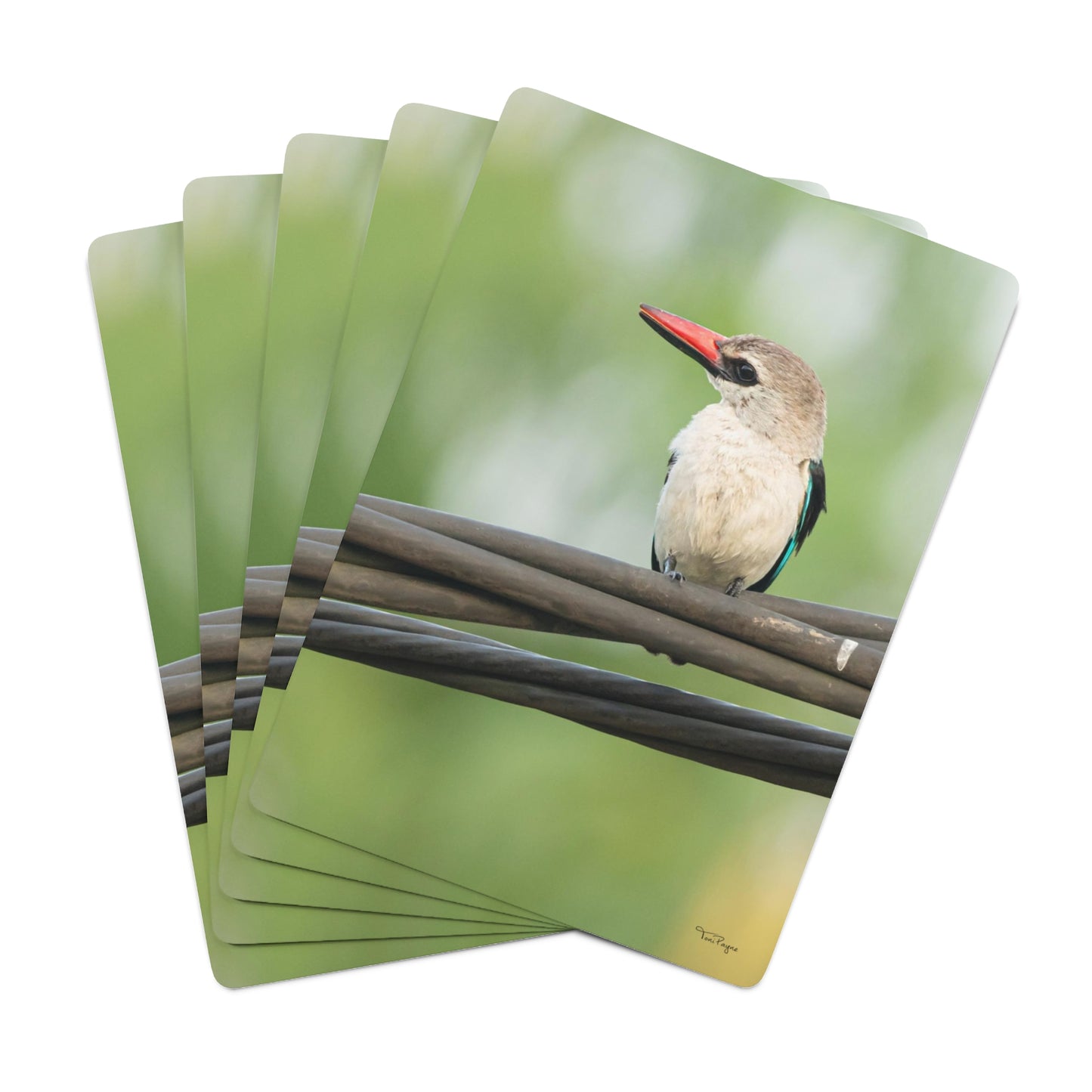 Nature and Wildlife Lover Kingfisher Playing Poker Cards Card Deck