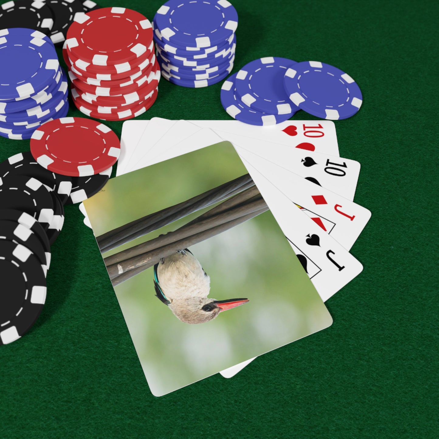 Nature and Wildlife Lover Kingfisher Playing Poker Cards Card Deck