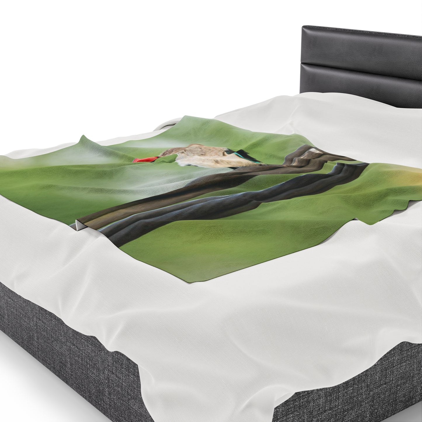 Nature and Wildlife Lover Kingfisher Velveteen Plush Blanket