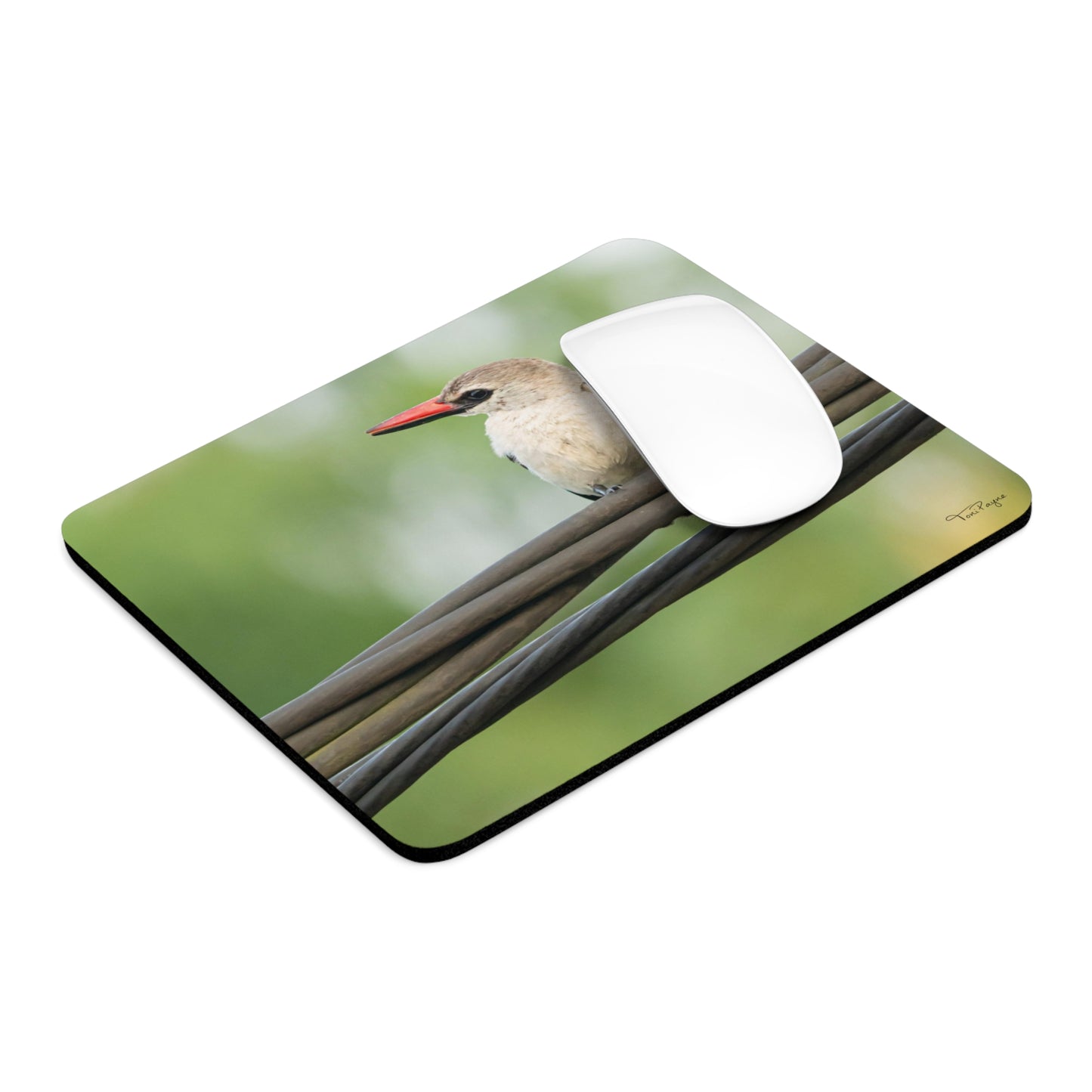 Nature Lover Kingfisher Round or Rectangle Mouse Pad