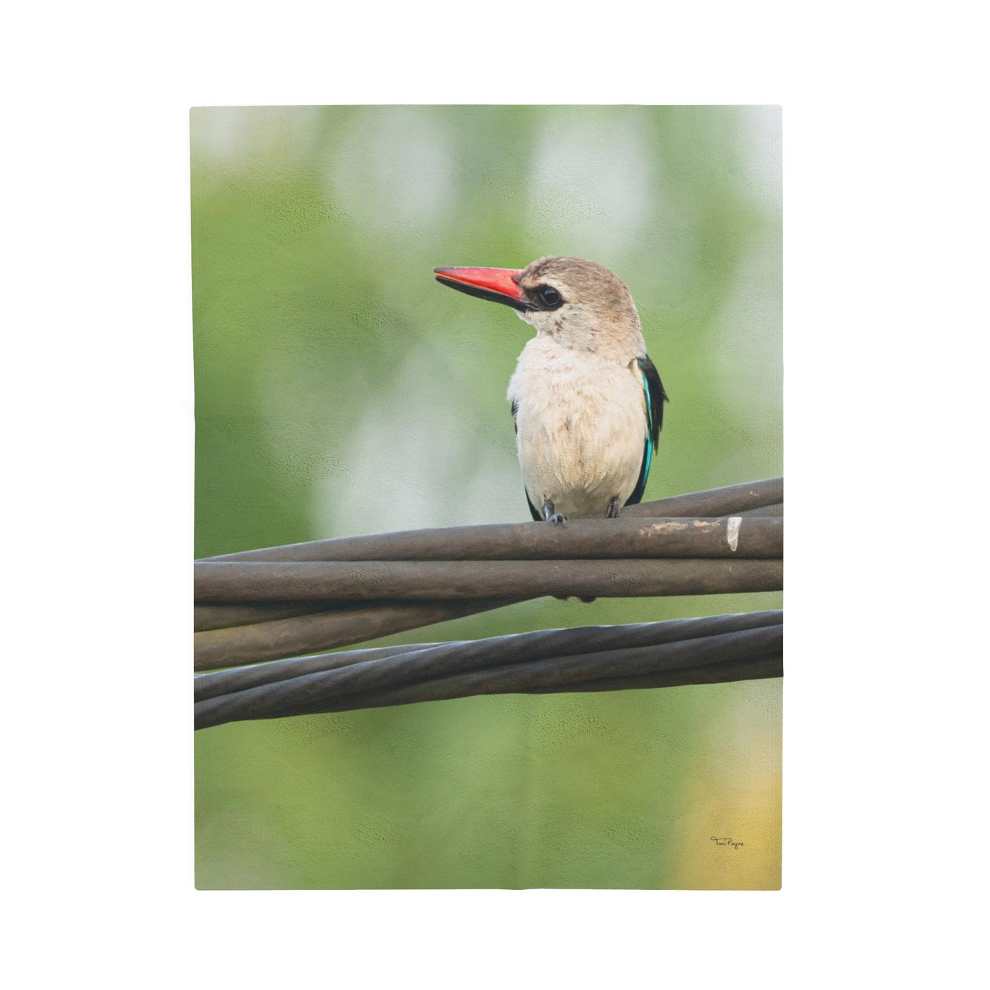 Nature and Wildlife Lover Kingfisher Velveteen Plush Blanket