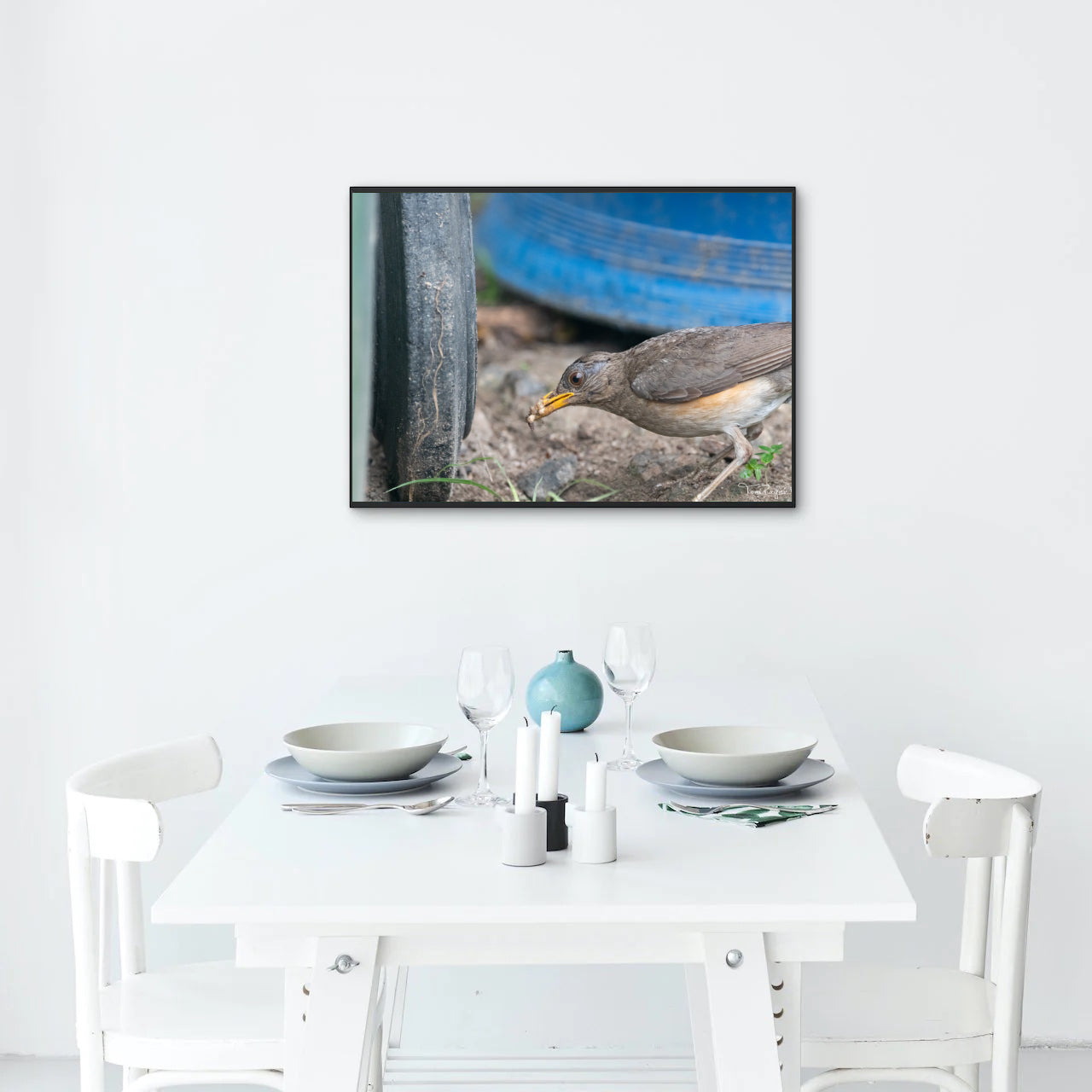 Bird Photography - African Thrush Nature and Wildlife Fine Art Photography Print - Interior Decor Wall Art