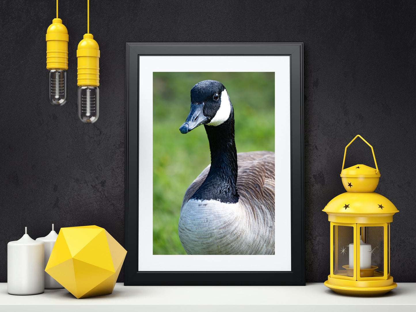 Canada Goose Portrait - Bird Photography Prints - Nature and Wildlife Fine Art Print - Interior Decor Wall Art Photography