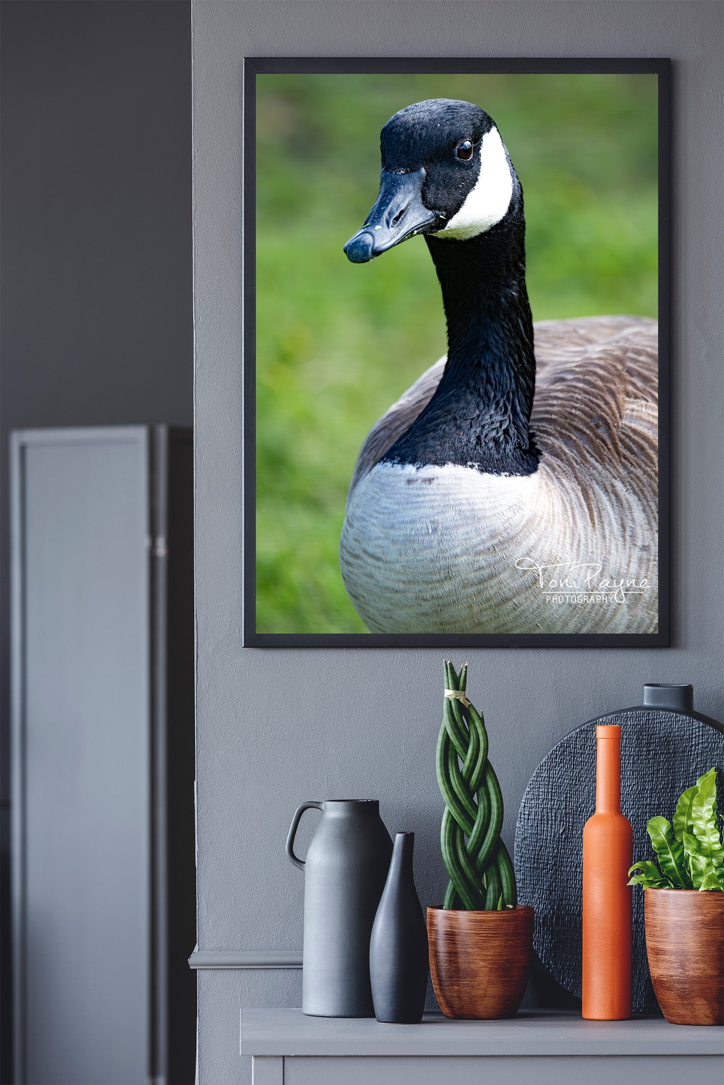 Canada Goose Portrait - Bird Photography Prints - Nature and Wildlife Fine Art Print - Interior Decor Wall Art Photography