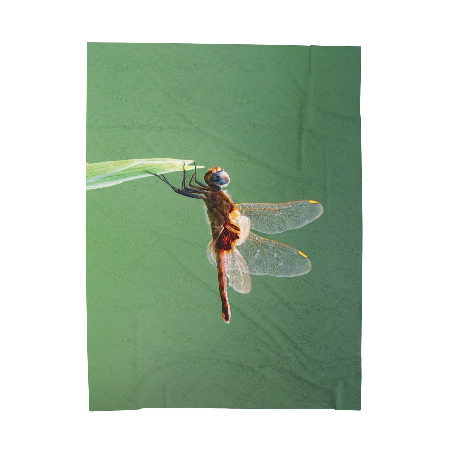 Dragonfly Travel Blanket, Cozy Soft Plush Fleece Blanket, Throw Blanket, Gifts for Animal Lovers - Merchandise