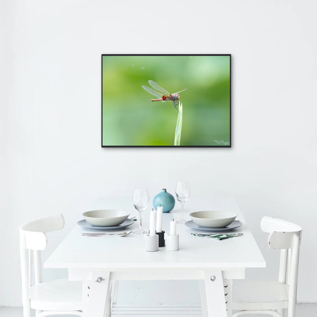 Nature Photography - Dragonfly Sings Nature and Wildlife Fine Art Photography Print Wall Art - Canvas, Photo, Fine Art Print - Interior Decor