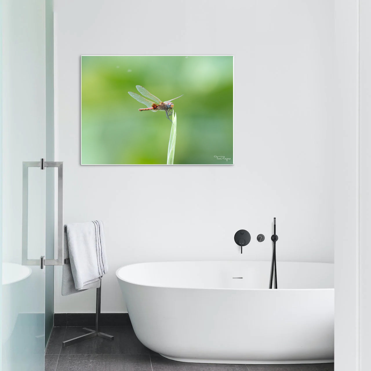 Nature Photography - Dragonfly Sings Nature and Wildlife Fine Art Photography Print Wall Art - Canvas, Photo, Fine Art Print - Interior Decor
