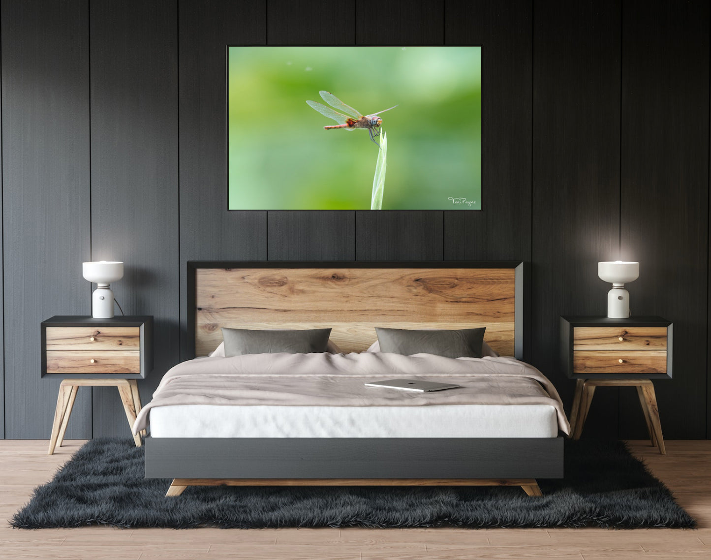 Nature Photography - Dragonfly Sings Nature and Wildlife Fine Art Photography Print Wall Art - Canvas, Photo, Fine Art Print - Interior Decor