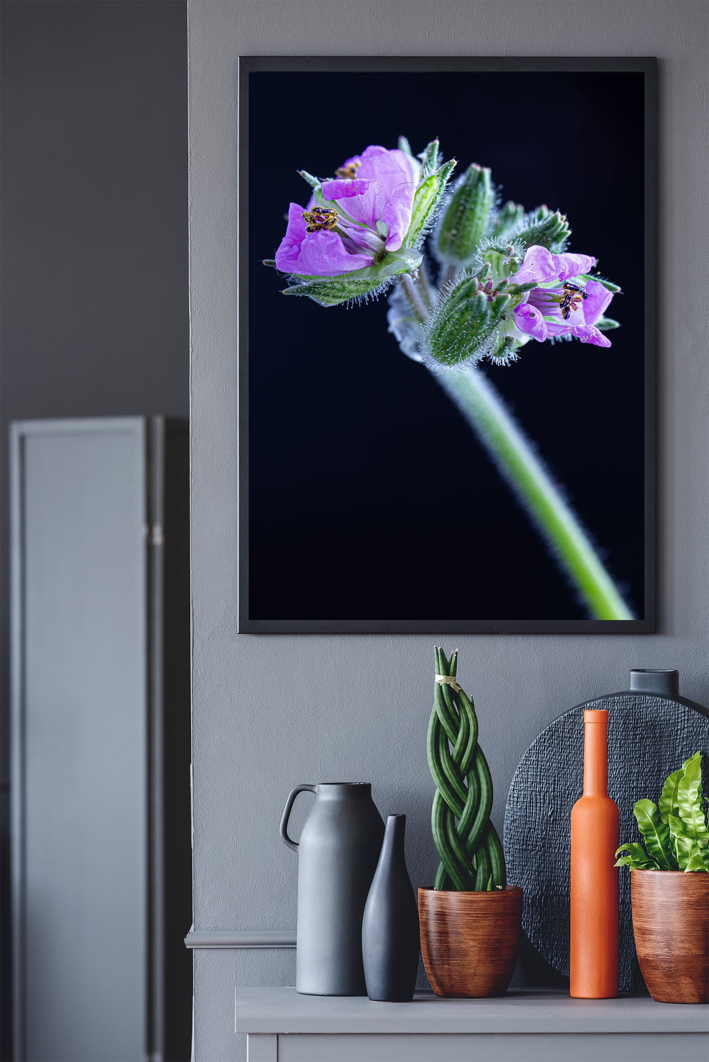 Nature Photography - Musky Storks Bill Flower I - Fine Art Print - Wall Art - Photo, Fine Art, Metal, Canvas, Print, Interior Decor