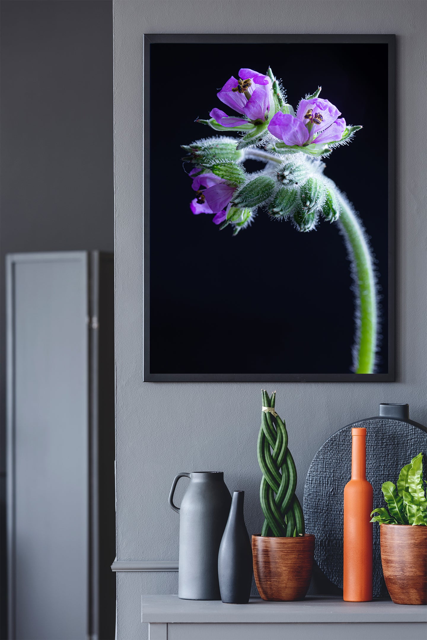 Nature Photography - Musky Storks Bill Flower II - Fine Art Print - Wall Art - Photo, Fine Art, Metal, Canvas, Print, Interior Decor