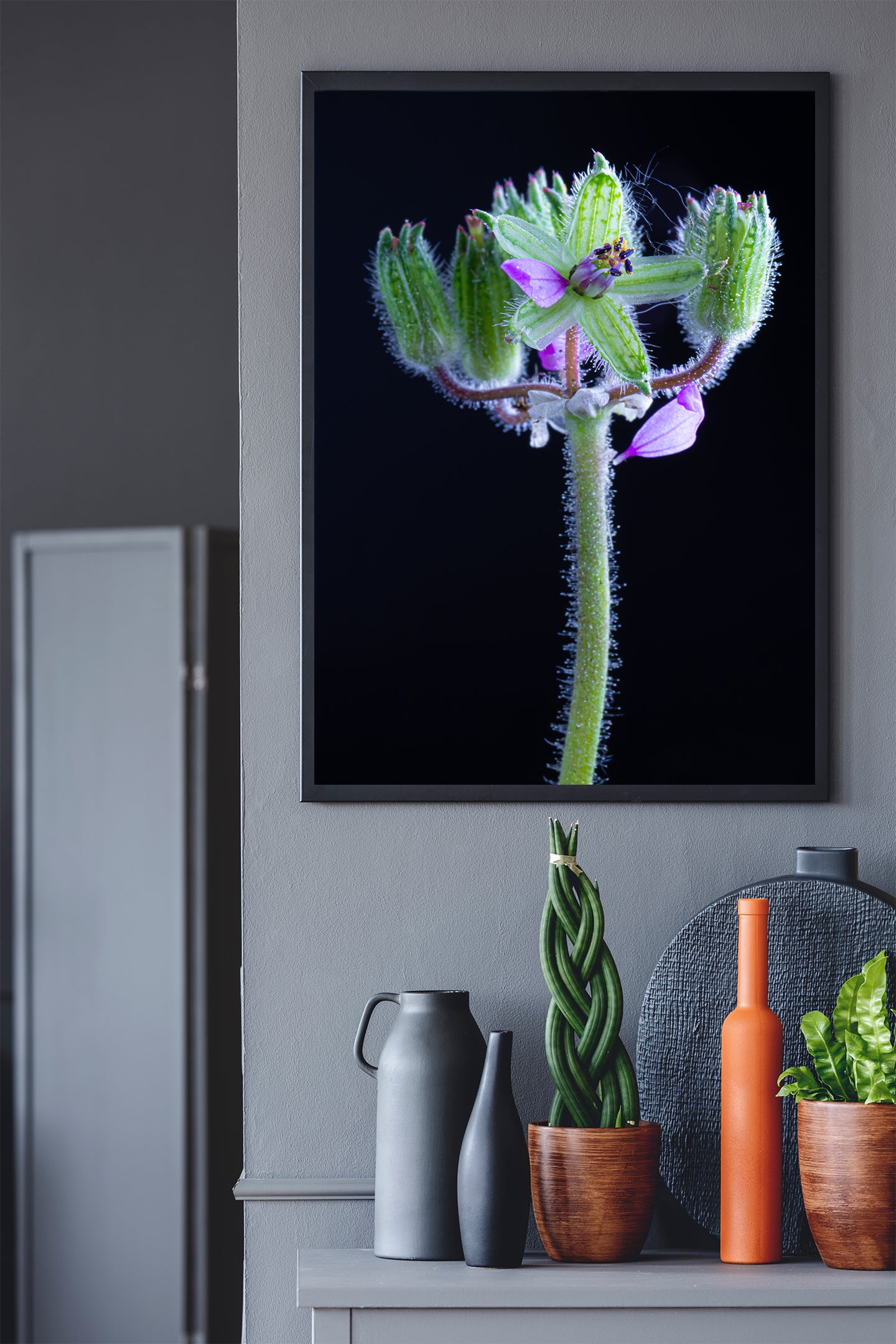 Nature Photography - Musky Storks Bill Flower III - Fine Art Print - Wall Art - Photo, Fine Art, Metal, Canvas, Print, Interior Decor