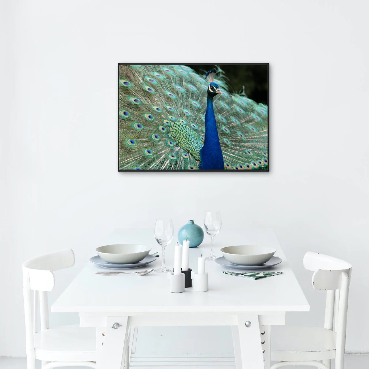 Bird Photography | Peacock Nature and Wildlife Fine Art Photography Print Wall Art - Canvas, Photo, Fine Art Print - Interior Decor