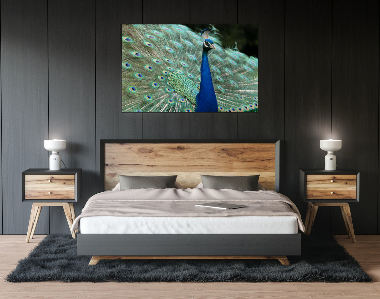 Bird Photography | Peacock Nature and Wildlife Fine Art Photography Print Wall Art - Canvas, Photo, Fine Art Print - Interior Decor