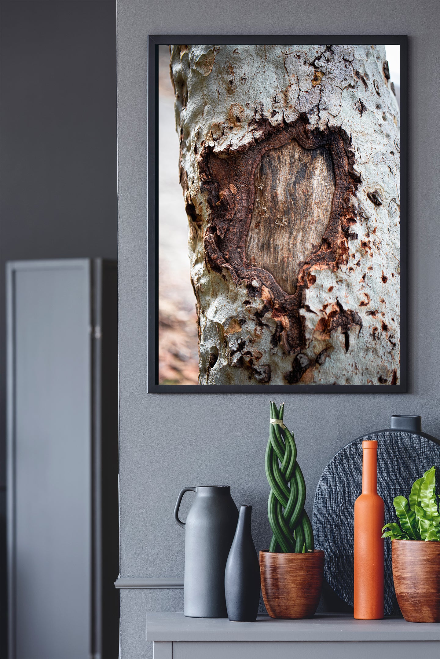 Nature Photography - Brown Tree Bark - Fine Art Print - Wall Art - Photo, Fine Art, Metal, Canvas, Print, Interior Decor