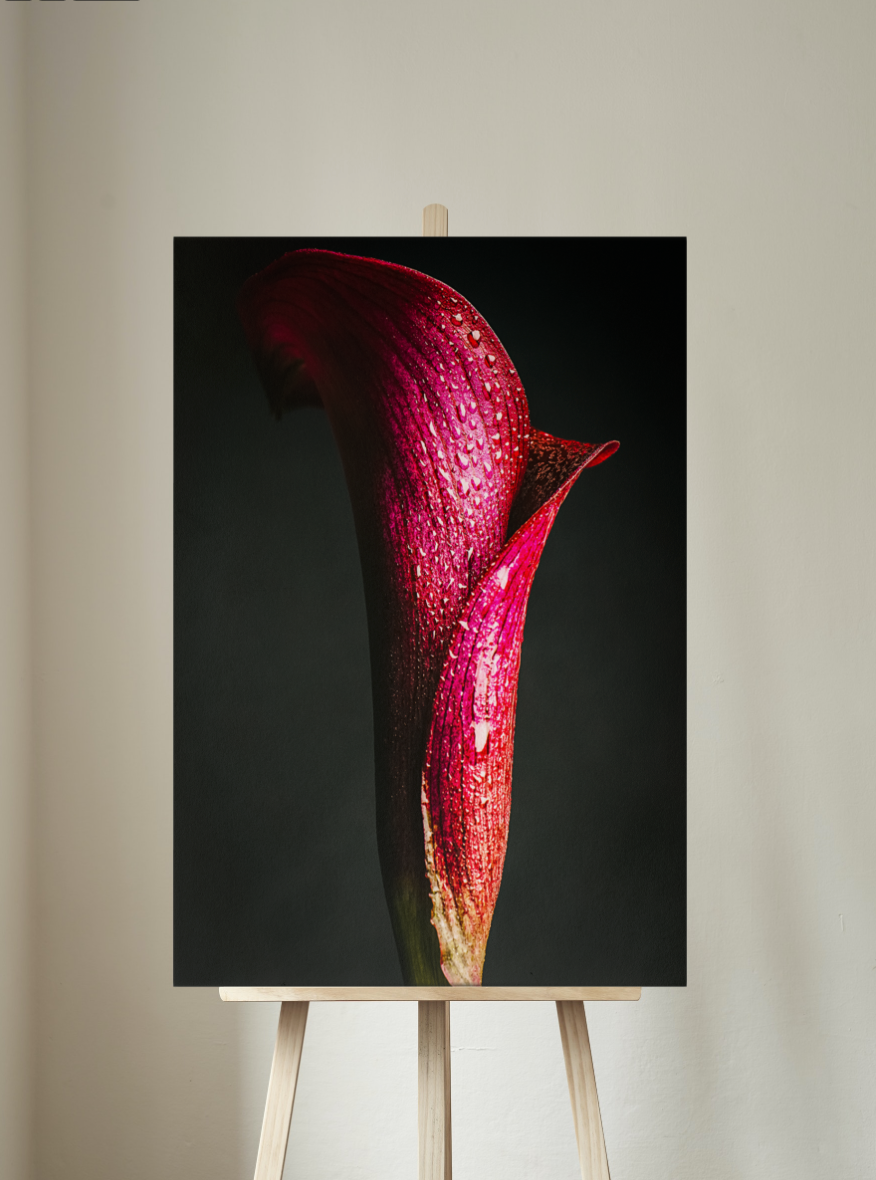 Flower Photography | Wine Flower | Wrap Me in Your Love | Fine Art - Wall Art Metal or Acrylic Print