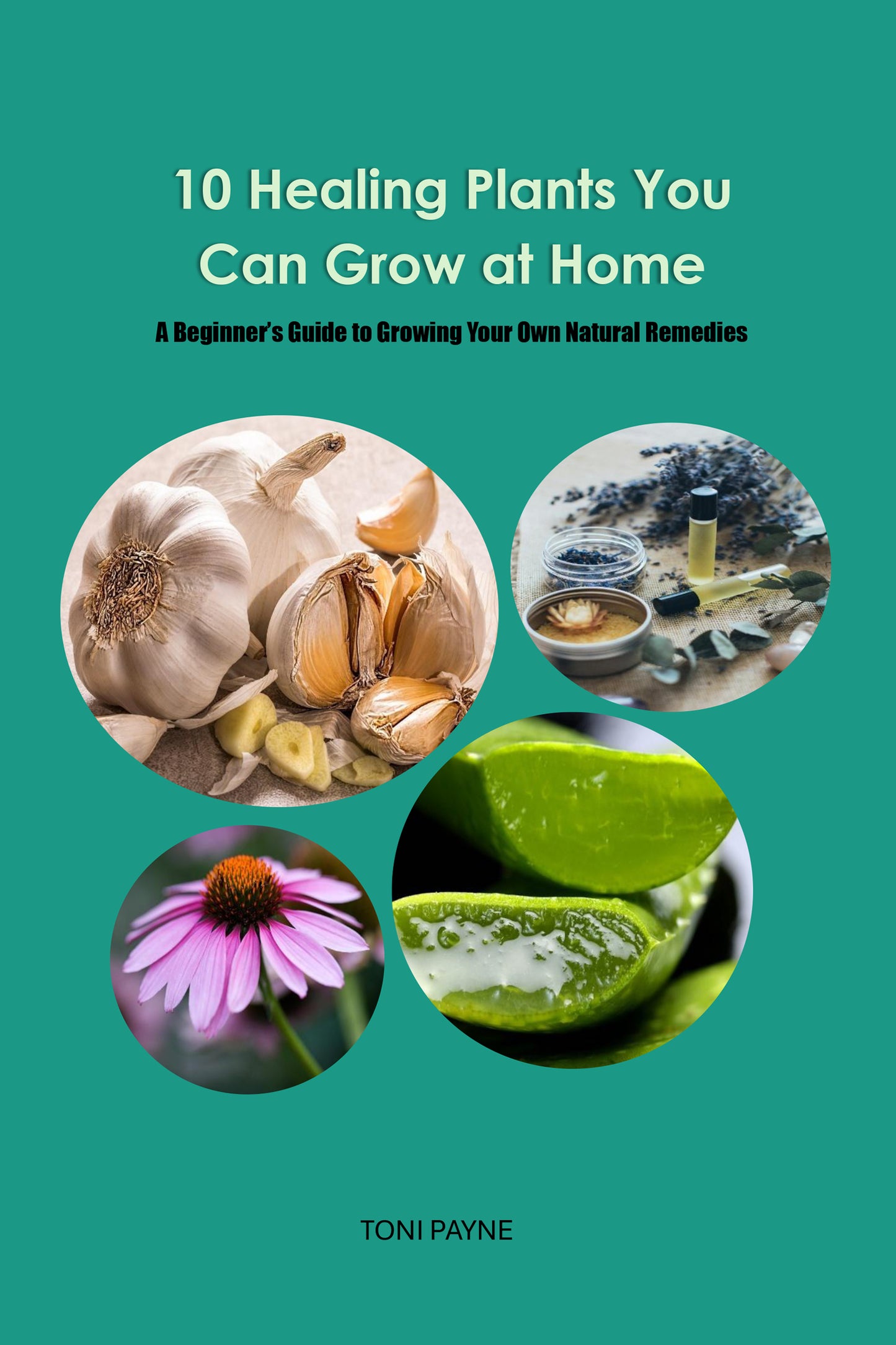 10 Healing Plants You Can Grow At Home