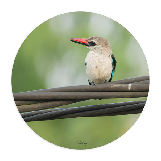 Nature Lover Kingfisher Round or Rectangle Mouse Pad