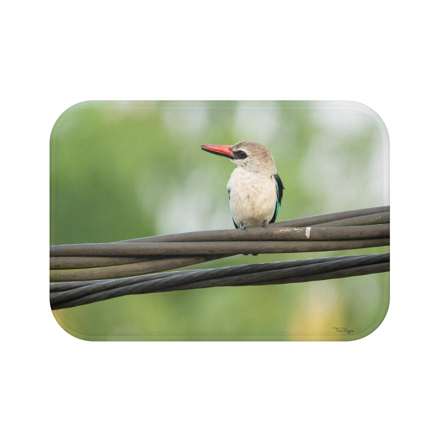 Nature and Wildlife Lover Kingfisher Bath Mat