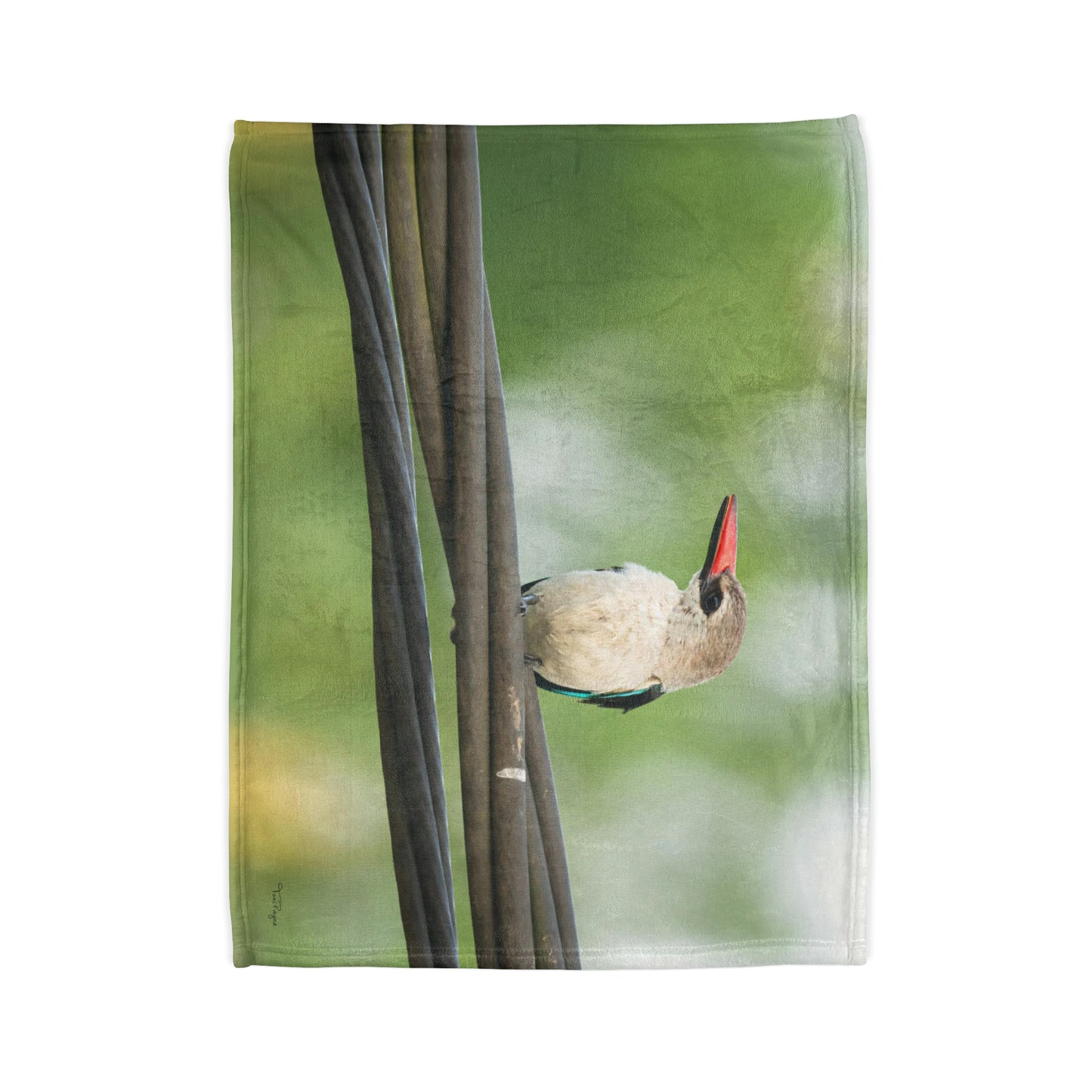 Nature and Wildlife Lover Kingfisher Soft Polyester Blanket