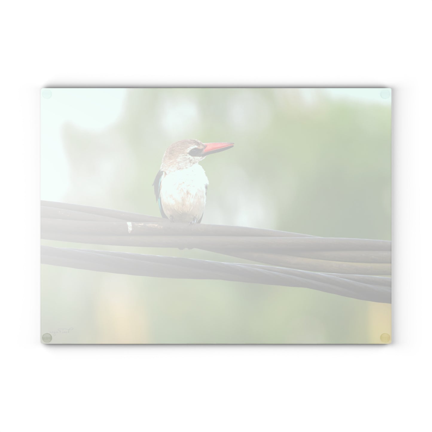 Nature Lover Kingfisher Glass Cutting Board