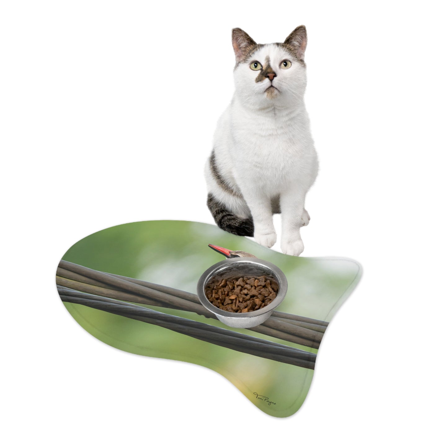 Nature Lover Kingfisher Pet Feeding Mats