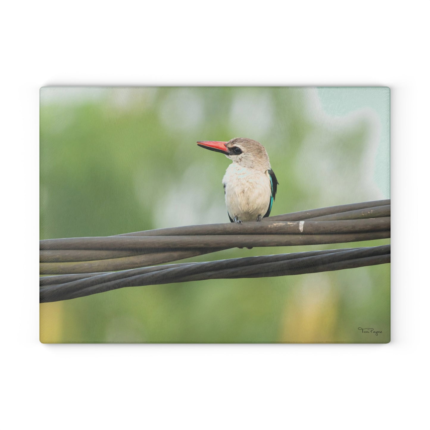 Nature Lover Kingfisher Glass Cutting Board