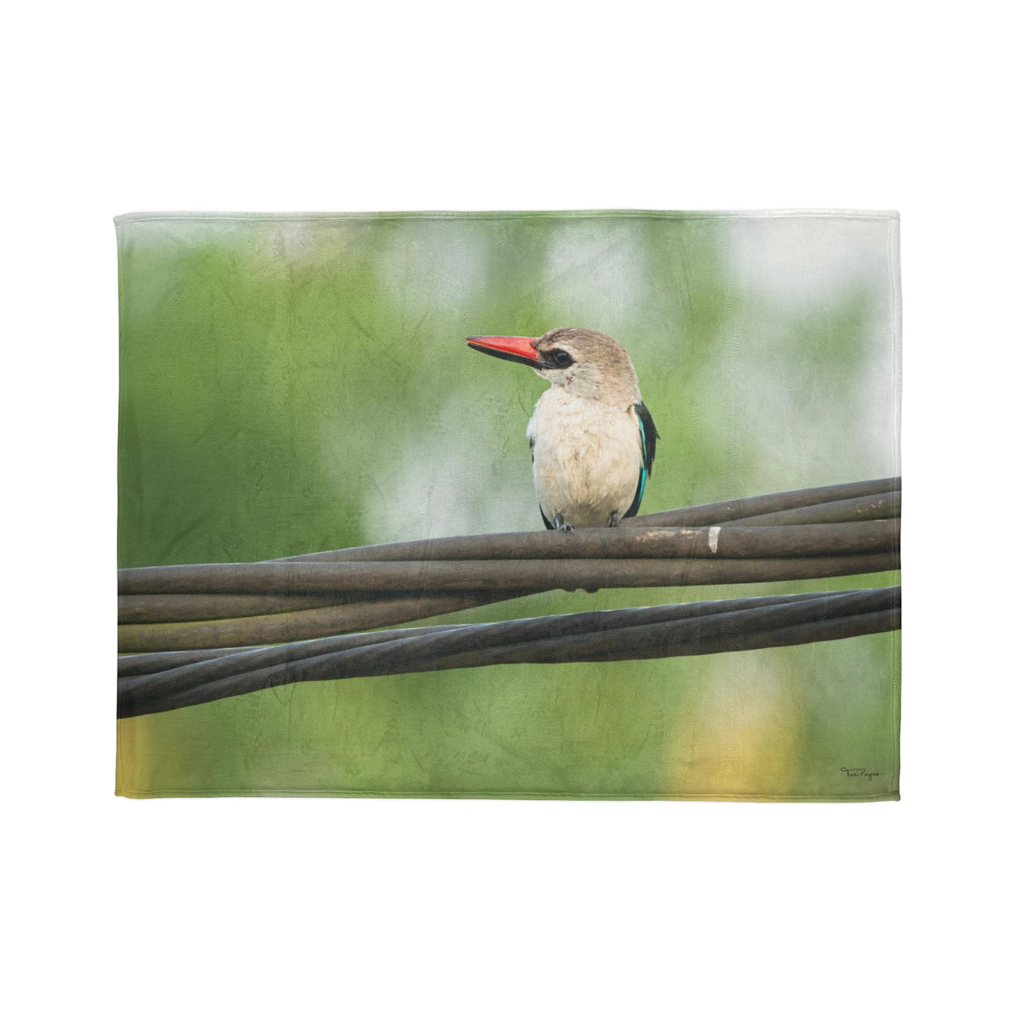 Nature and Wildlife Lover Kingfisher Soft Polyester Blanket