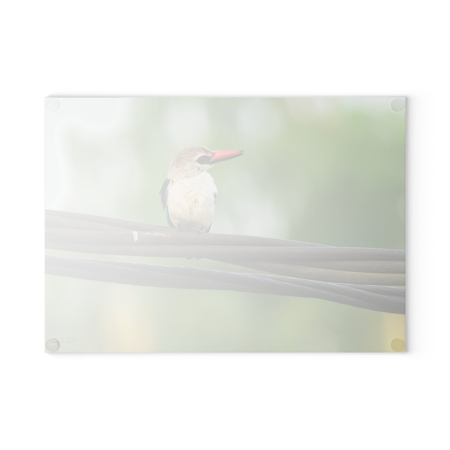 Nature Lover Kingfisher Glass Cutting Board