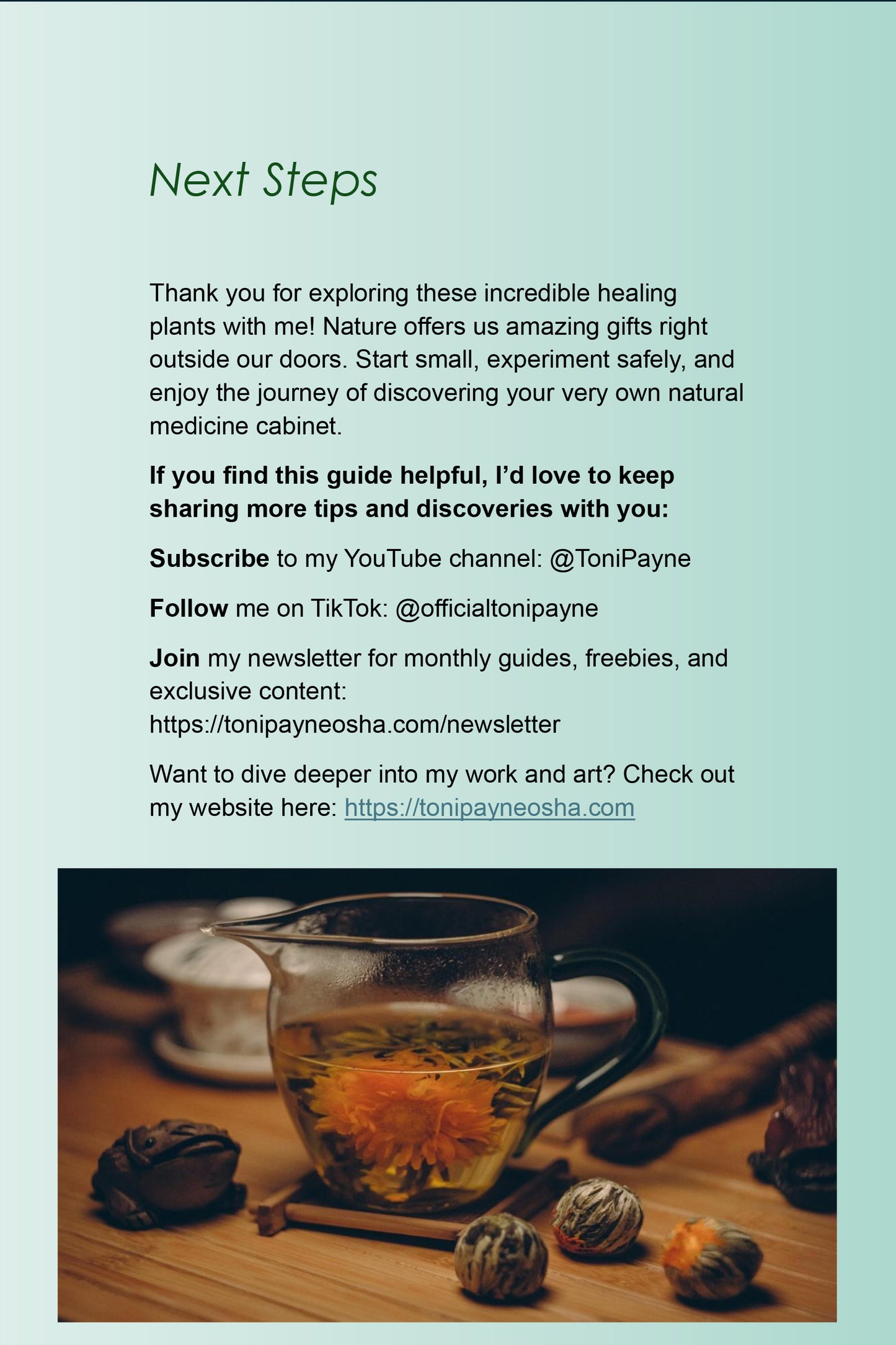 10 Healing Plants You Can Grow At Home