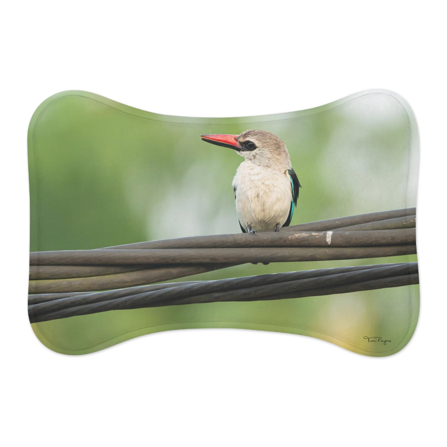 Nature Lover Kingfisher Pet Feeding Mats