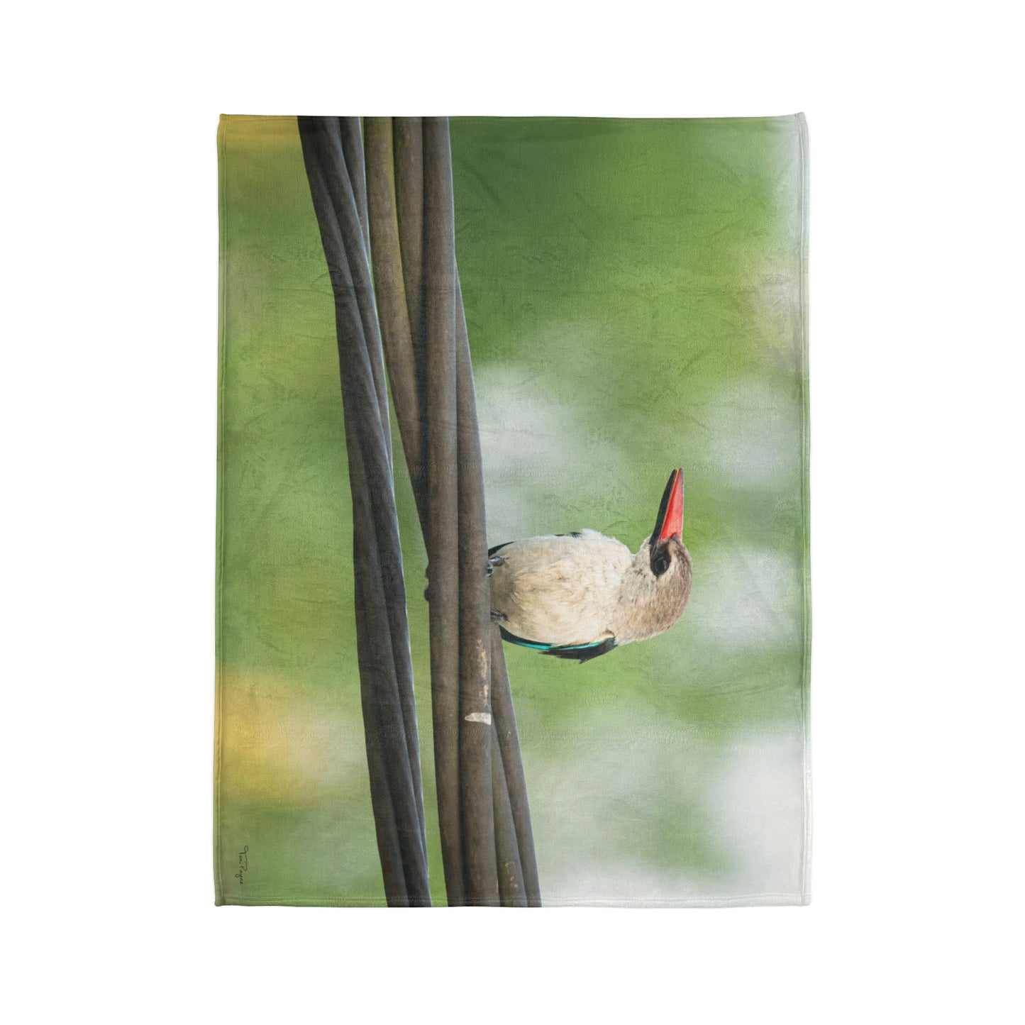 Nature and Wildlife Lover Kingfisher Soft Polyester Blanket