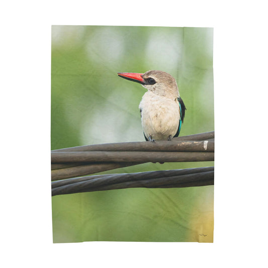 Nature and Wildlife Lover Kingfisher Velveteen Plush Blanket