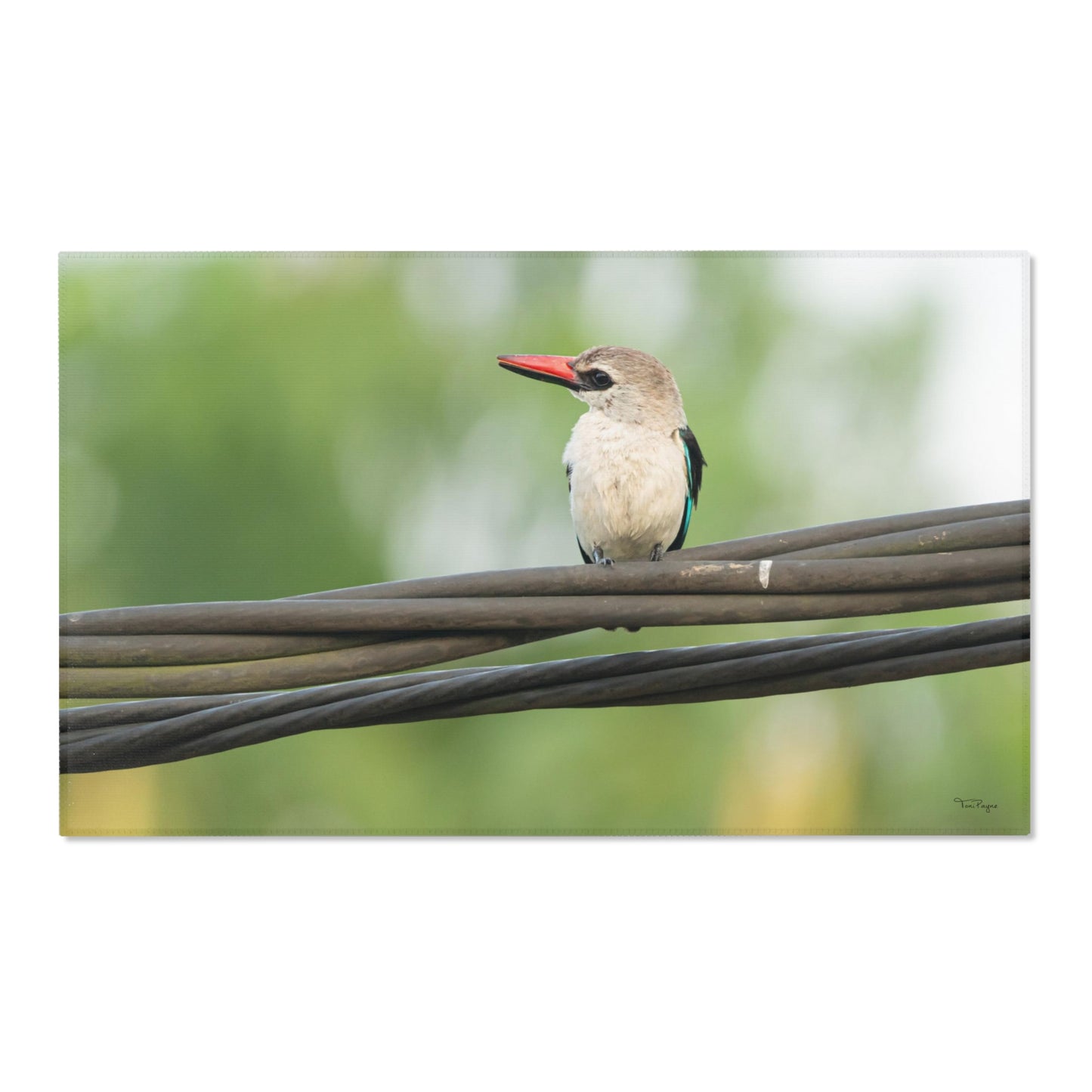 Nature and Wildlife Lover Kingfisher Area Rug