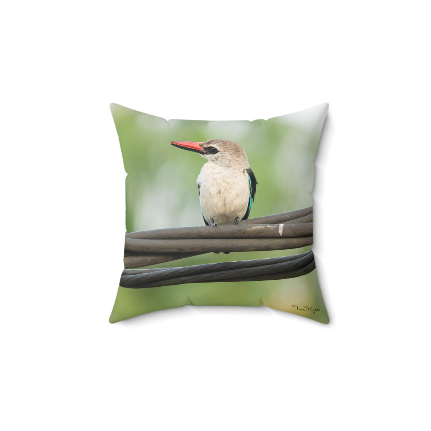 Nature and Wildlife Lover Kingfisher Throw Pillow