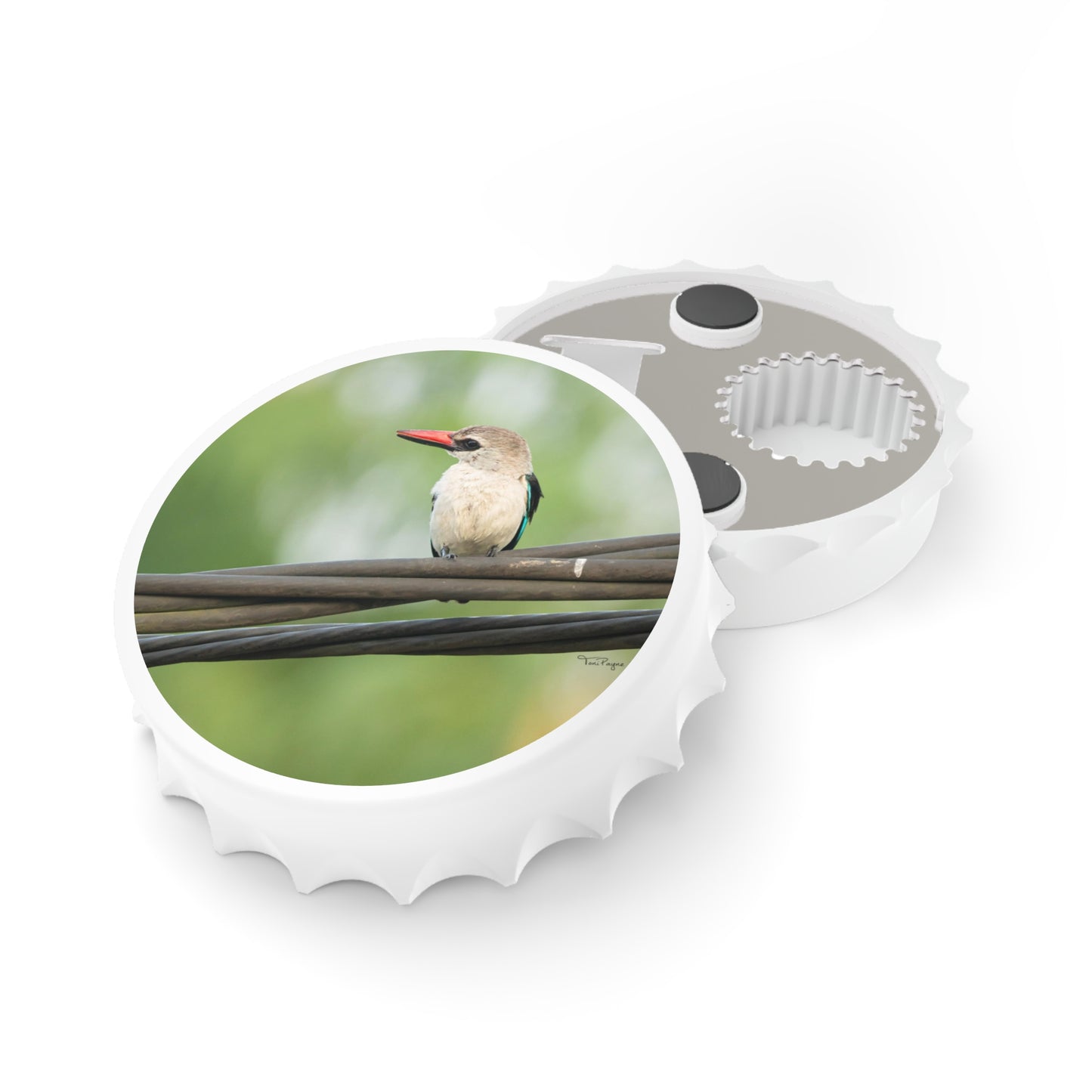 Nature and Wildlife Lover Kingfisher Bottle Opener