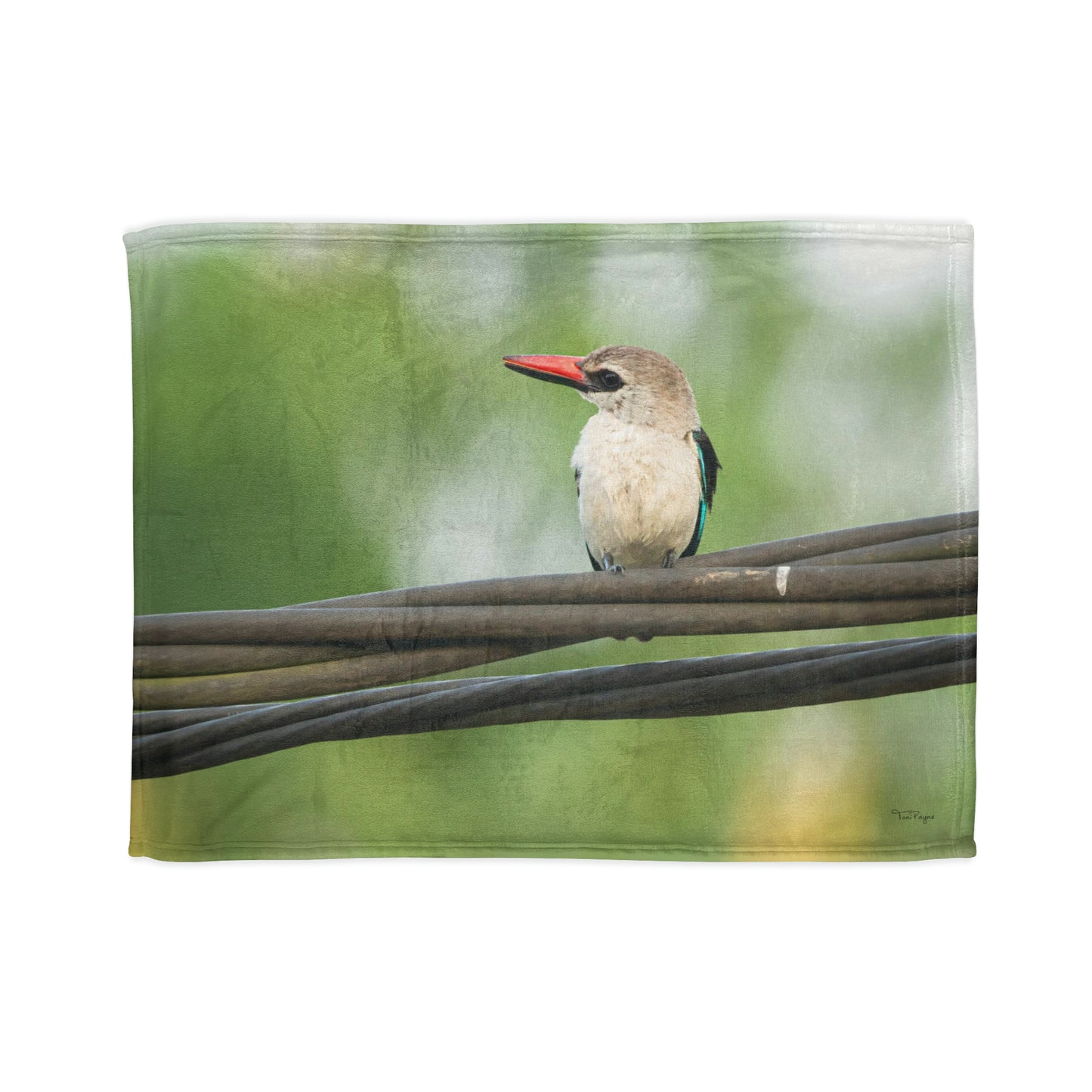 Nature and Wildlife Lover Kingfisher Soft Polyester Blanket