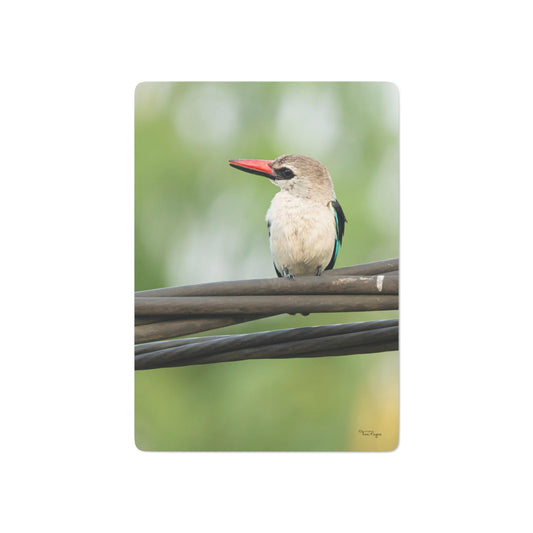 Nature and Wildlife Lover Kingfisher Playing Poker Cards Card Deck