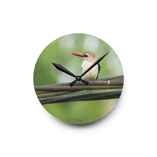 Nature and Wildlife Lover Kingfisher Acrylic Wall Clock