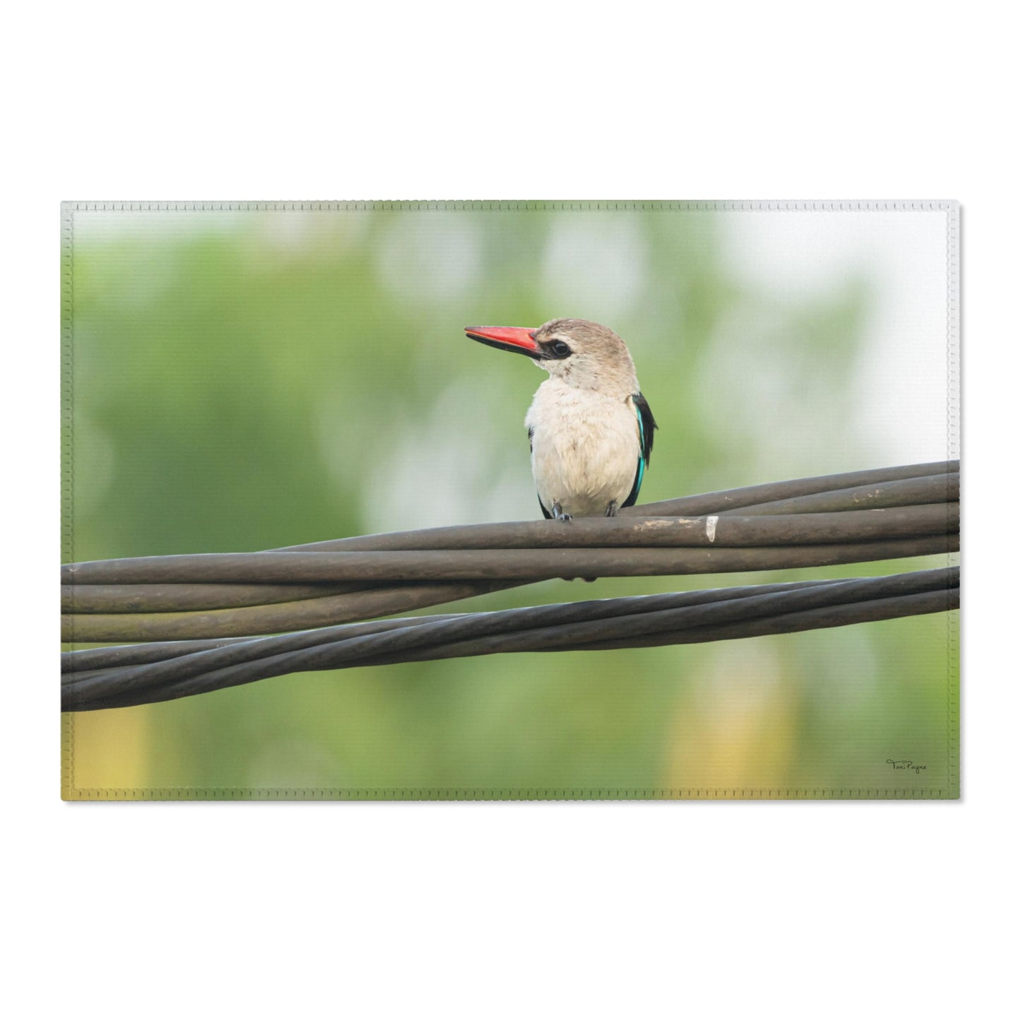 Nature and Wildlife Lover Kingfisher Area Rug