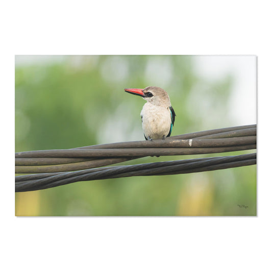 Nature and Wildlife Lover Kingfisher Area Rug