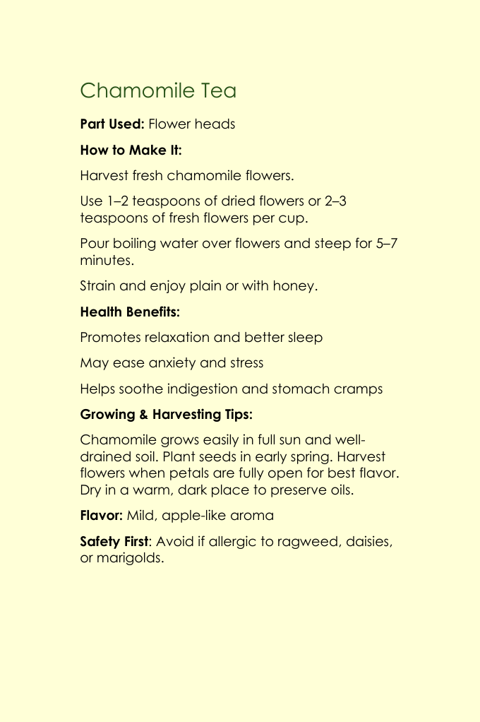 10 Natural Teas You Can Make At Home