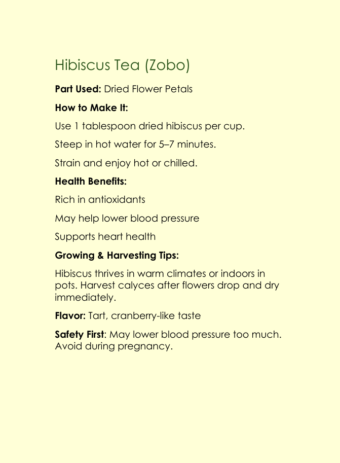 10 Natural Teas You Can Make At Home