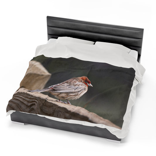 House Finch Travel Blanket, Cozy Soft Plush Fleece Blanket, Throw Blanket, Gifts for Bird Lovers