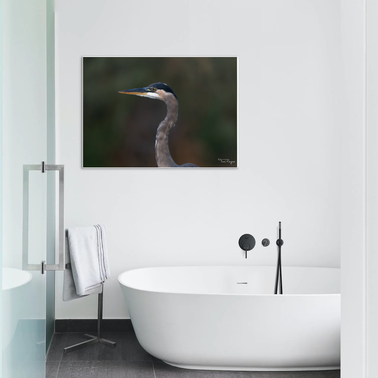 Bird Photography - Great Blue Heron Portrait Nature and Wildlife  Fine Art Photography Print Wall Art - Canvas, Photo, Fine Art Print - Interior Decor