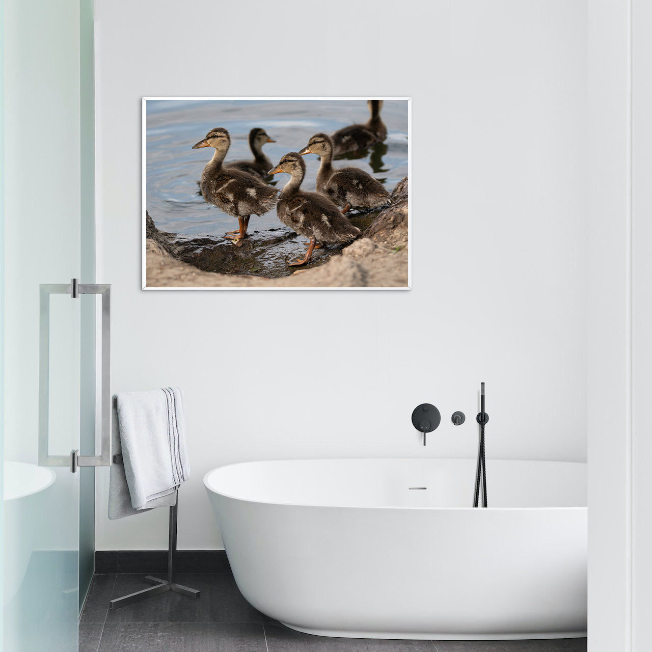 Smiling Ducklings -  Fine Art Photography - Interior Decor Wall Art
