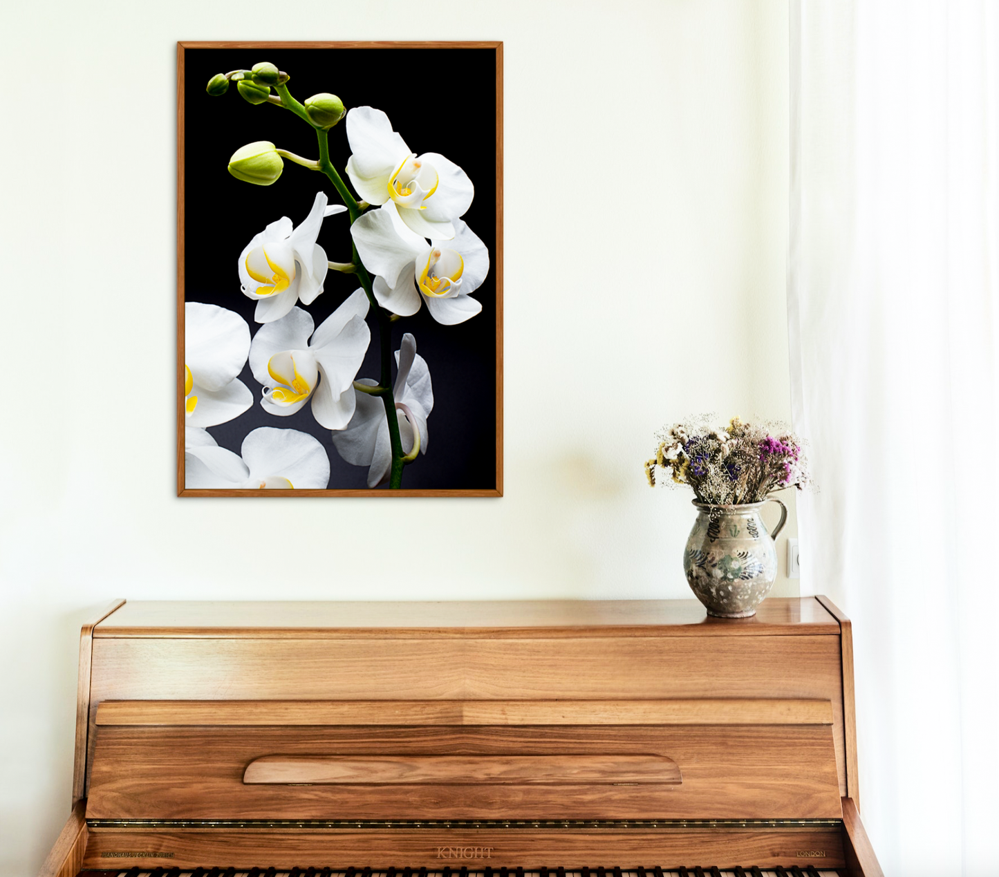 Alora's Dream -  Still Life Photography Floral Fine Art - Wall Art Metal or Acrylic Print