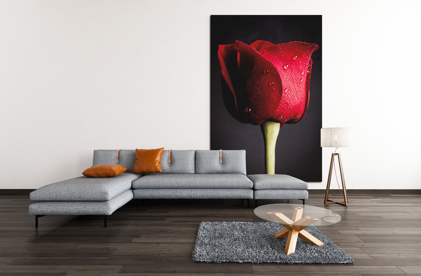 Lady in Red -  Still Life Photography Floral Fine Art - Wall Art Metal or Acrylic Print