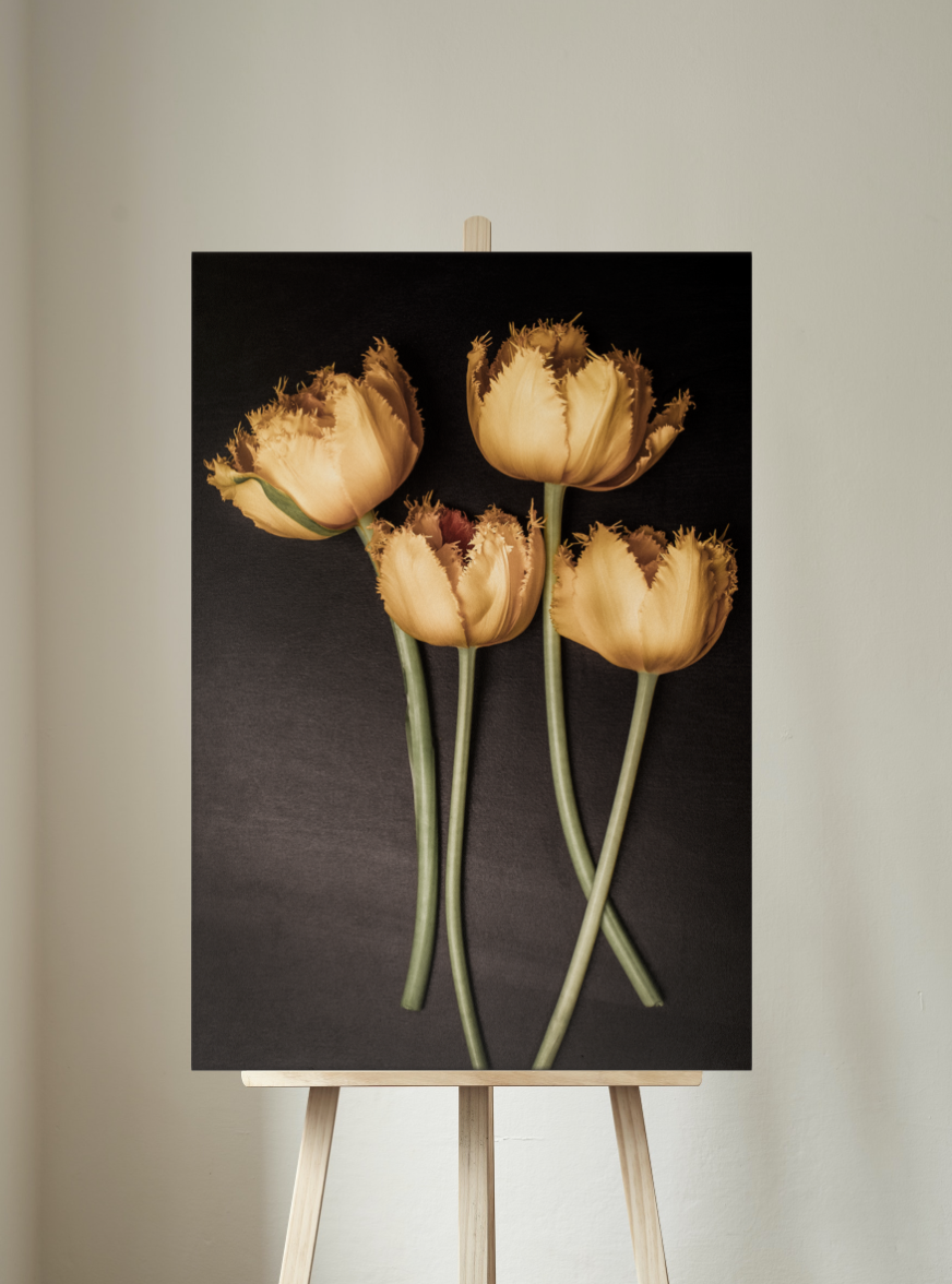 Never Alone - Still Life Photography Floral Fine Art - Wall Art Metal or Acrylic Print